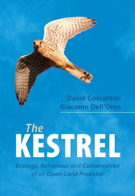 The Kestrel by David Costantini, Giacomo Dell'Omo