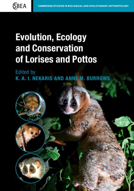 Evolution, Ecology and Conservation of Lorises and Pottos by Anne M. Burrows, K. A. I. Nekaris