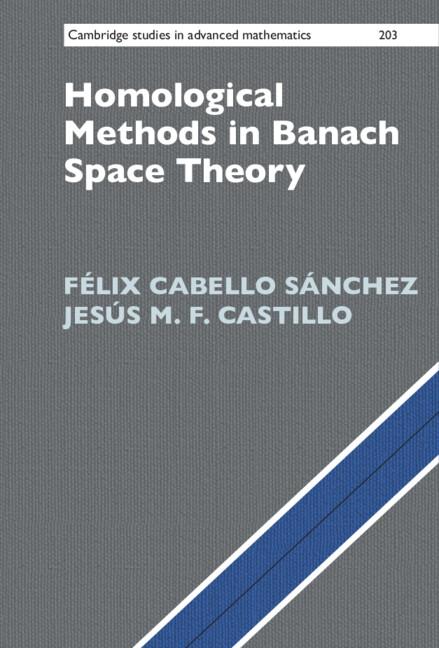 Homological Methods in Banach Space Theory by Félix Cabello Sánchez, Jesús M. F. Castillo