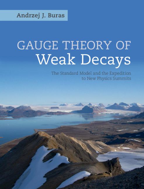 Gauge Theory of Weak Decays by Andrzej J. Buras