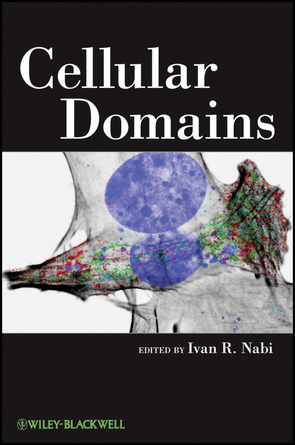 Cellular Domains by Ivan R. Nabi
