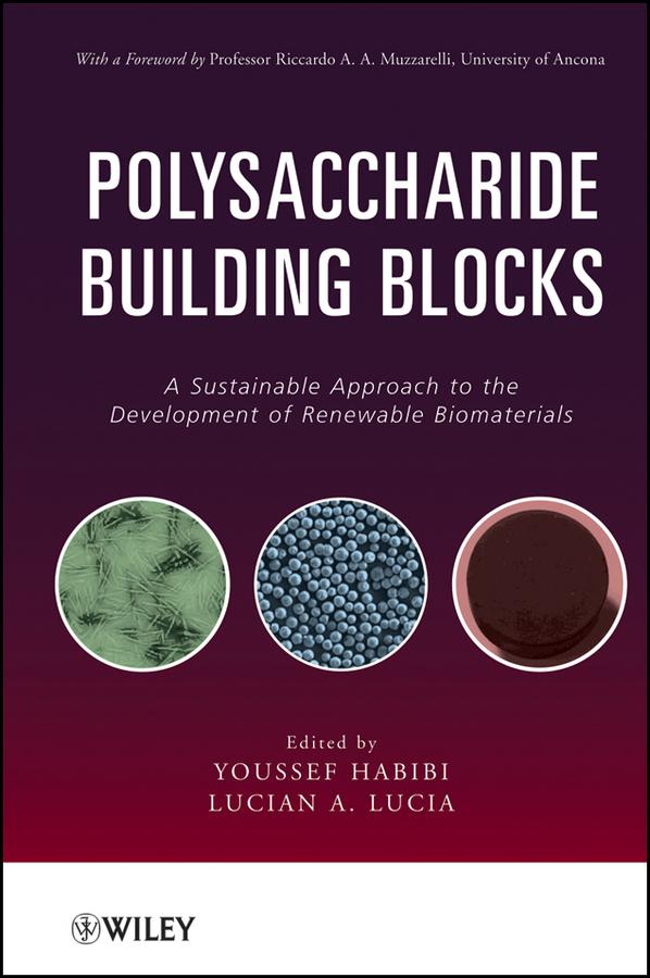 Polysaccharide Building Blocks by Lucian A. Lucia, Youssef Habibi