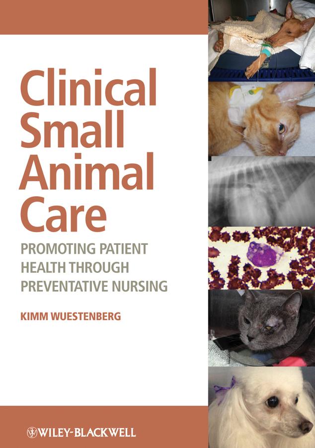 Clinical Small Animal Care by Kimm Wuestenberg