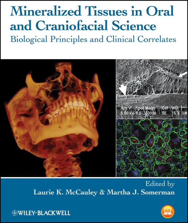 Mineralized Tissues in Oral and Craniofacial Science by Laurie K. McCauley, Martha J. Somerman
