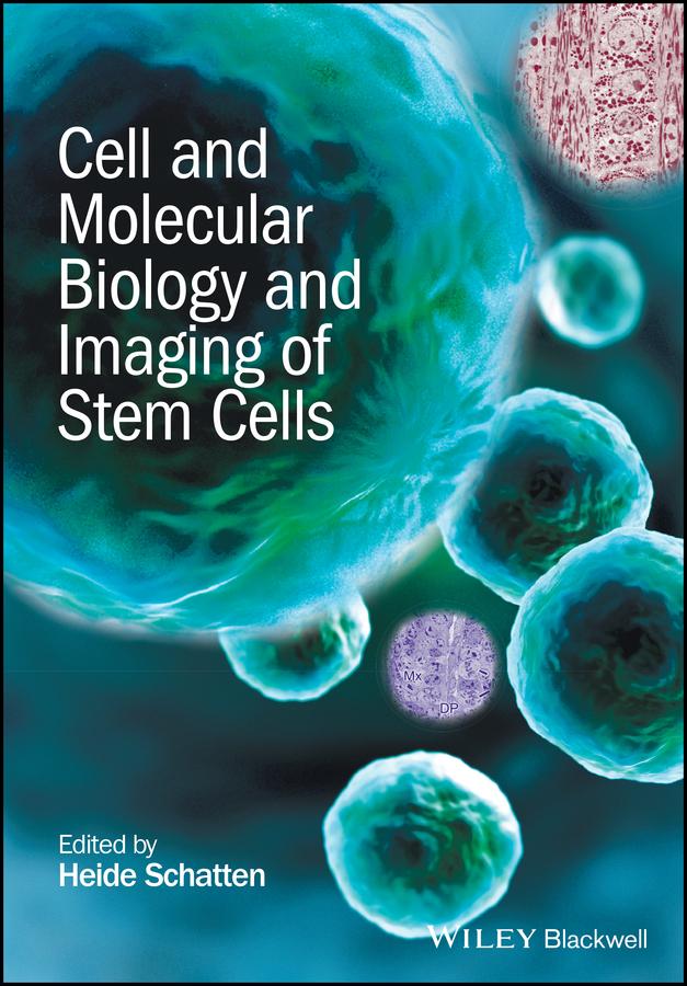 Cell and Molecular Biology and Imaging of Stem Cells by Heide Schatten
