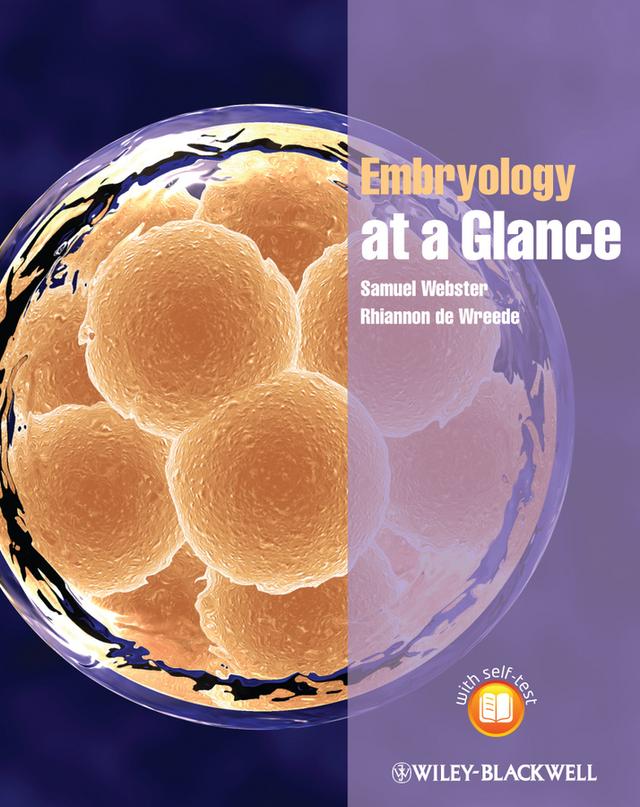 Embryology at a Glance by Rhiannon de Wreede, Samuel Webster