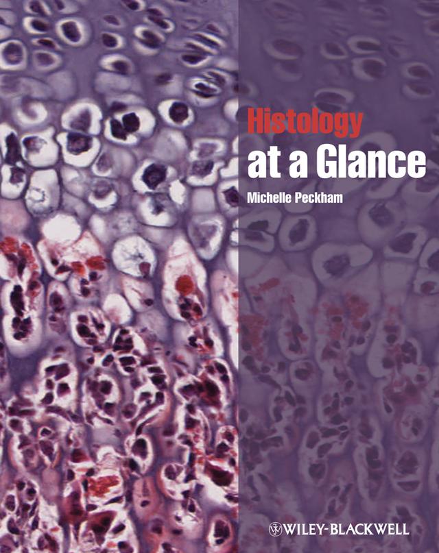 Histology at a Glance by Michelle Peckham