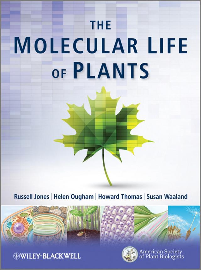 The Molecular Life of Plants by Helen Ougham, Howard Thomas, Russell L. Jones, Susan Waaland