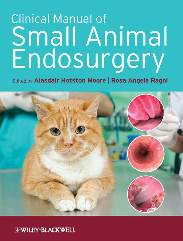 Clinical Manual of Small Animal Endosurgery by Alasdair Hotston Moore, Rosa Angela Ragni