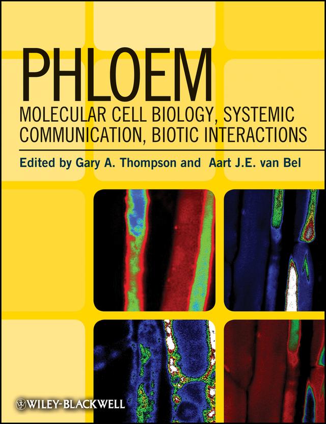 Phloem by Aart J.E. van Bel, Gary A. Thompson