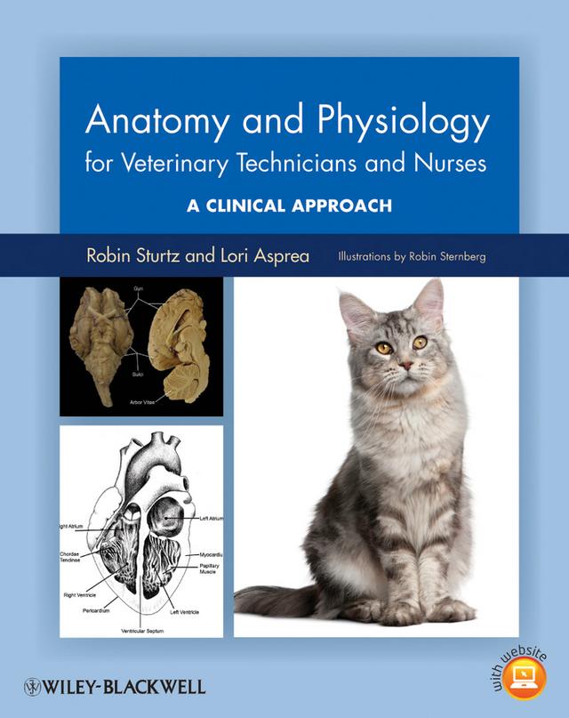 Anatomy and Physiology for Veterinary Technicians and Nurses by Lori Asprea, Robin Sturtz