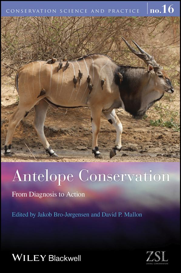 Antelope Conservation