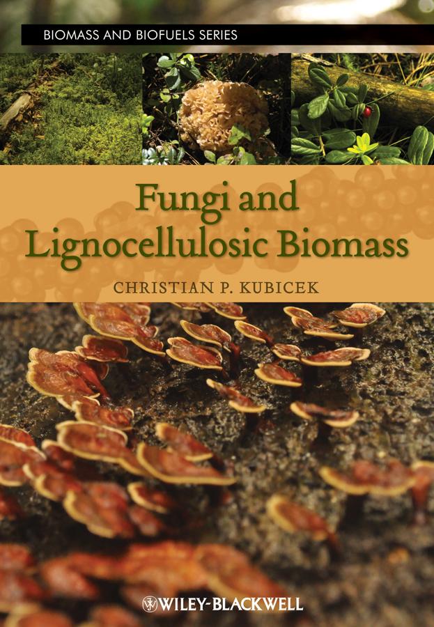 Fungi and Lignocellulosic Biomass by Christian P. Kubicek