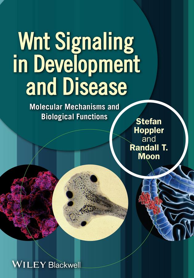Wnt Signaling in Development and Disease by Randall T. Moon, Stefan P. Hoppler