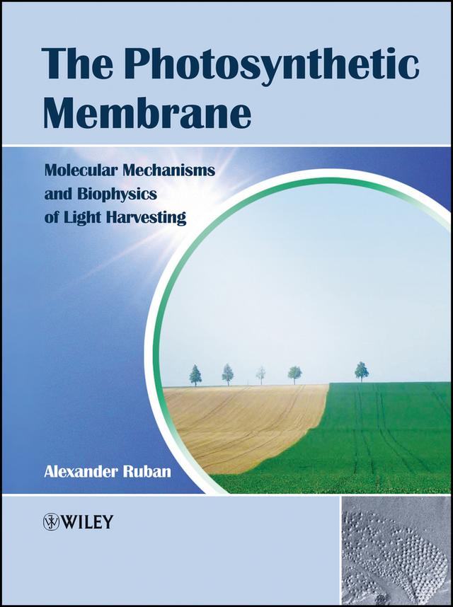 The Photosynthetic Membrane by Alexander V. Ruban