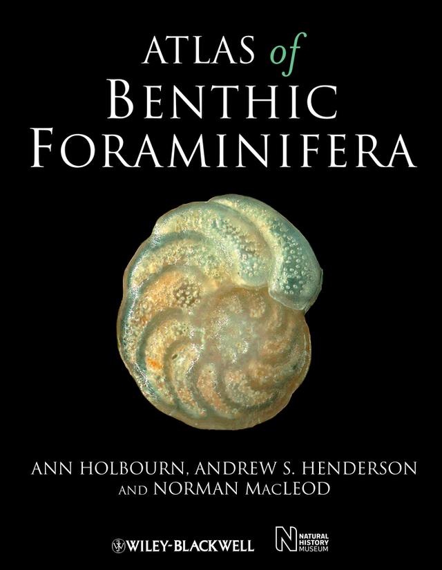 Atlas of Benthic Foraminifera by Andrew S. Henderson, Ann Holbourn, Norman Macleod