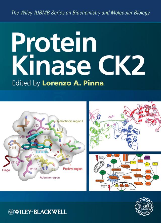 Protein Kinase CK2 by Lorenzo A. Pinna