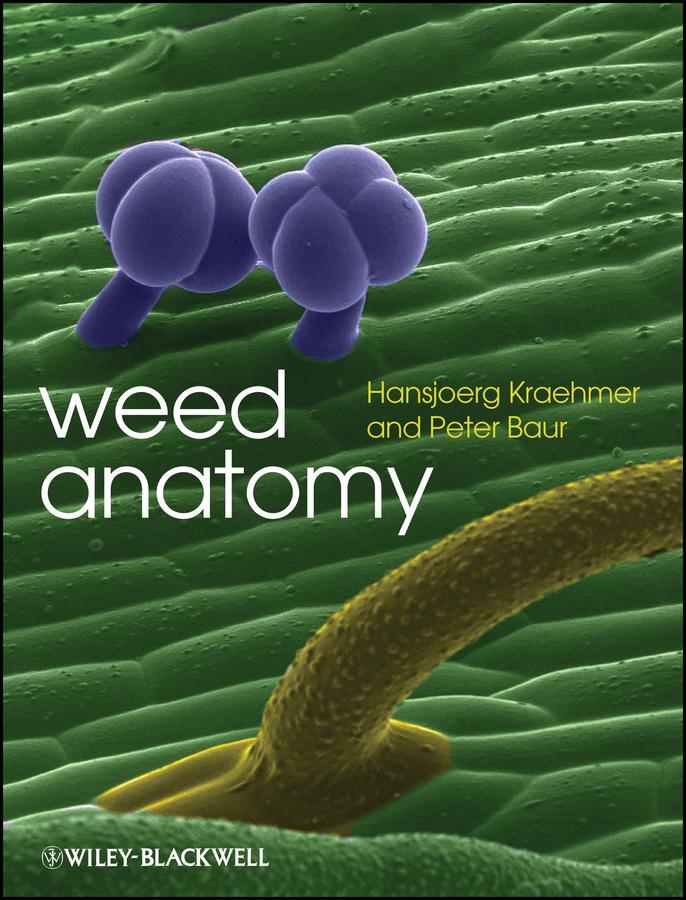 Weed Anatomy