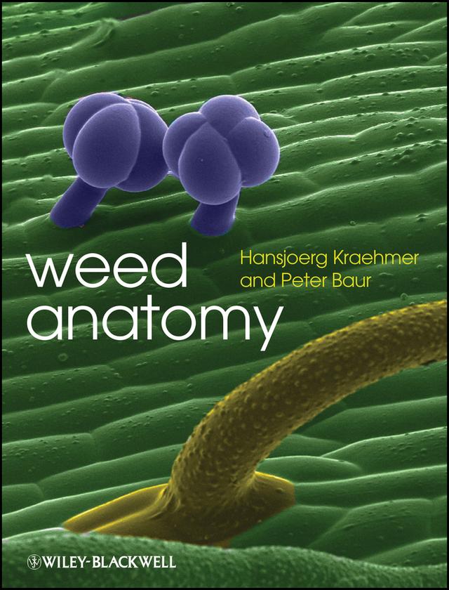 Weed Anatomy by Hansjoerg Kraehmer, Peter Baur