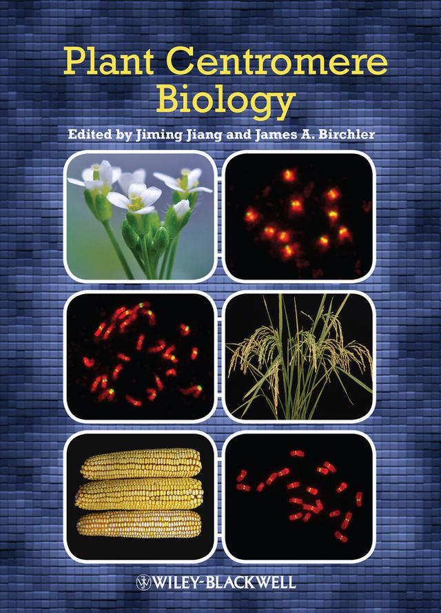 Plant Centromere Biology by James A. Birchler, Jiming Jiang