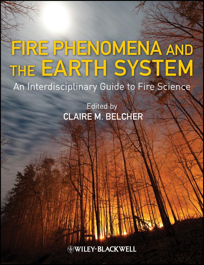 Fire Phenomena and the Earth System