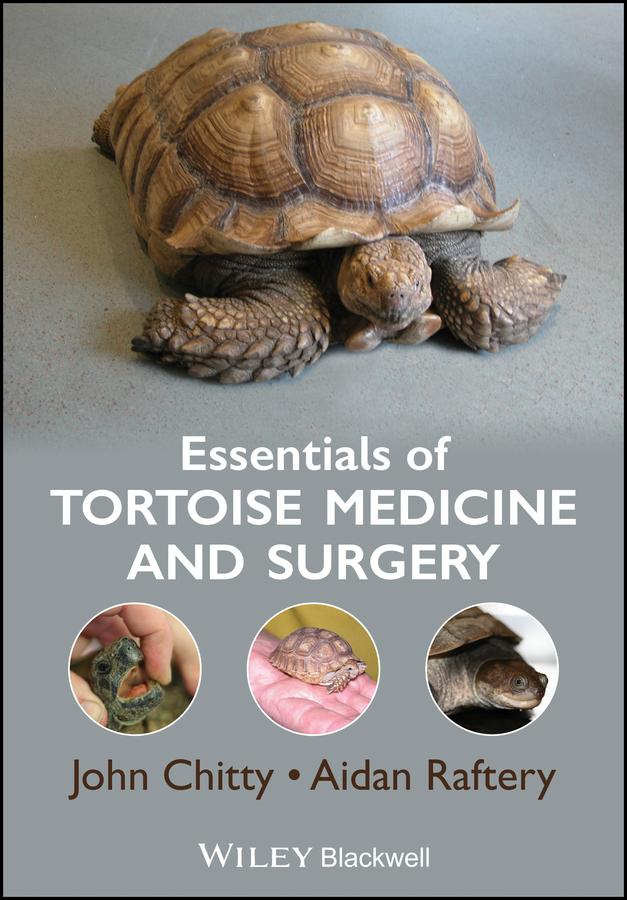 Essentials of Tortoise Medicine and Surgery by Aidan Raftery, John Chitty