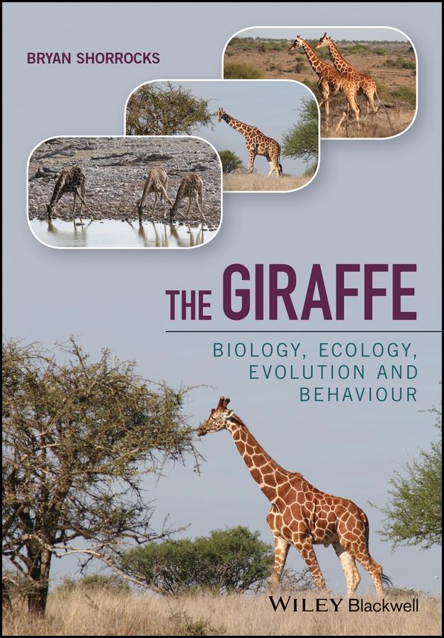 The Giraffe by Bryan Shorrocks