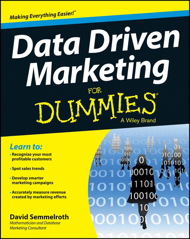 Data Driven Marketing For Dummies by David Semmelroth