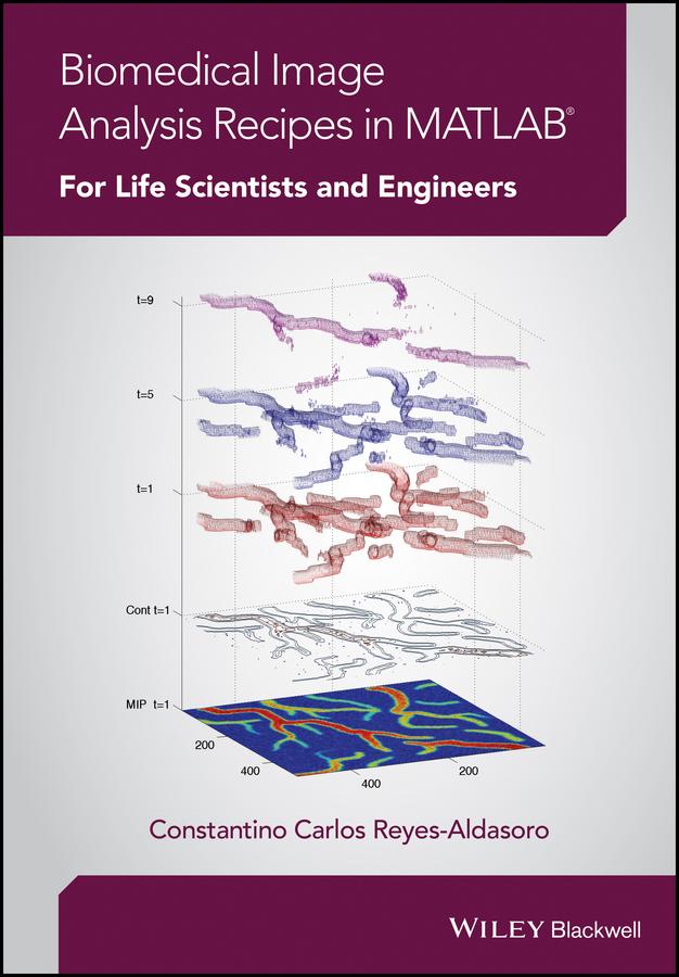 Biomedical Image Analysis Recipes in MATLAB