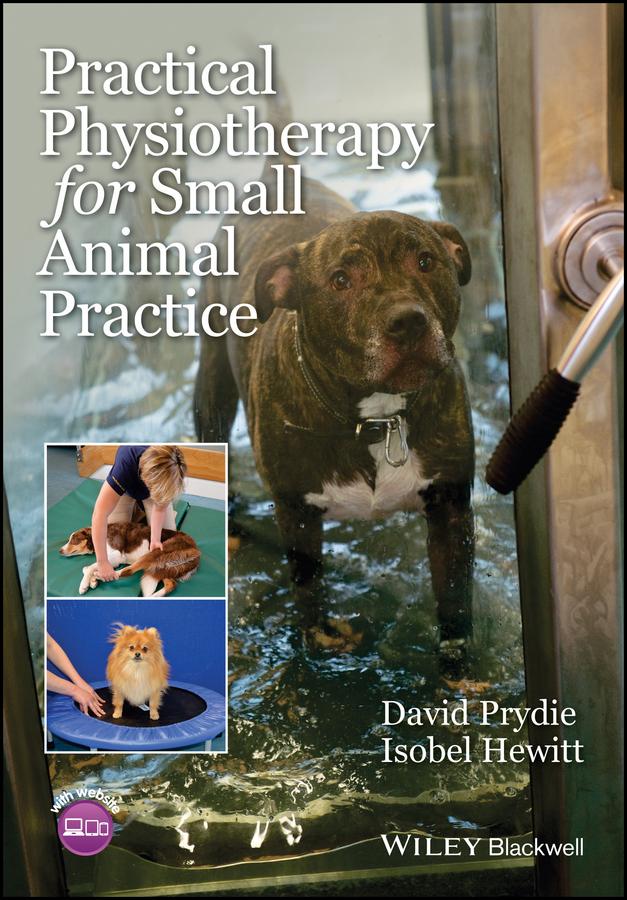 Practical Physiotherapy for Small Animal Practice by David Prydie, Isobel Hewitt