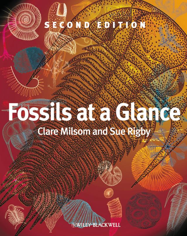 Fossils at a Glance by Clare Milsom, Sue Rigby