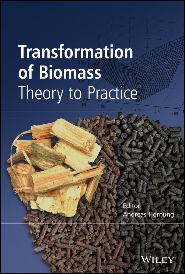 Transformation of Biomass by Andreas Hornung