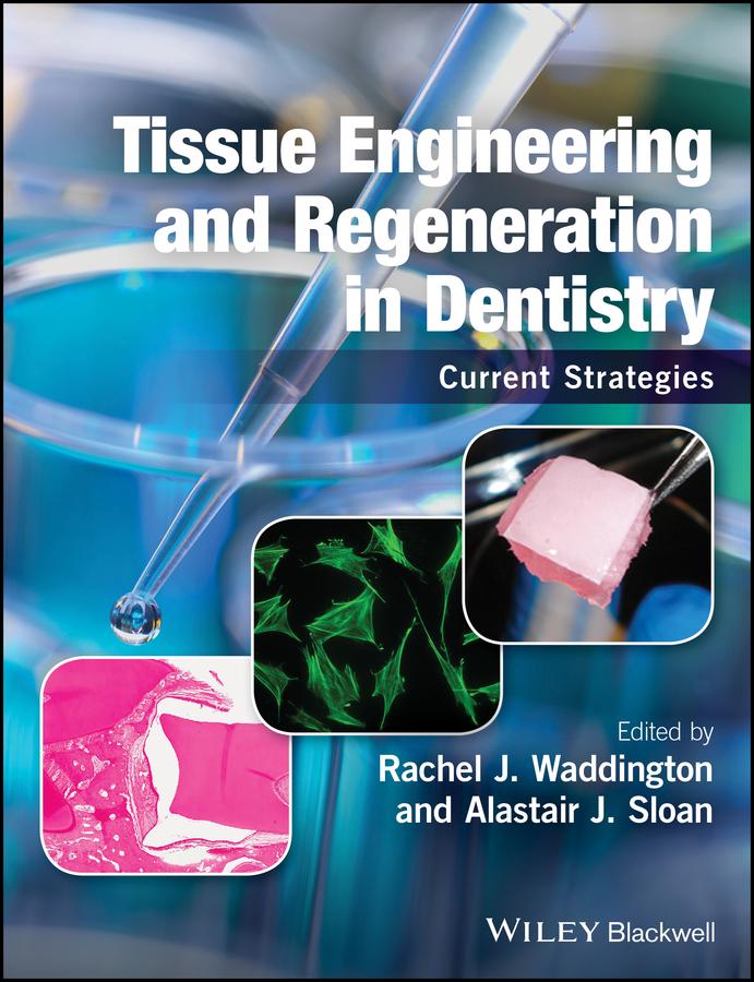 Tissue Engineering and Regeneration in Dentistry
