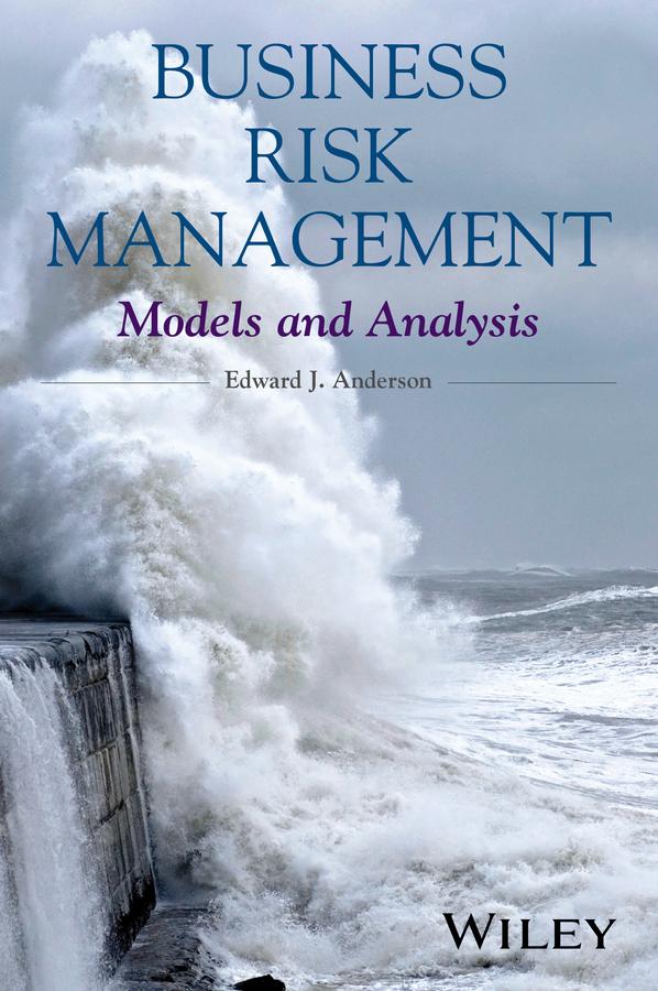 Business Risk Management by Edward J. Anderson
