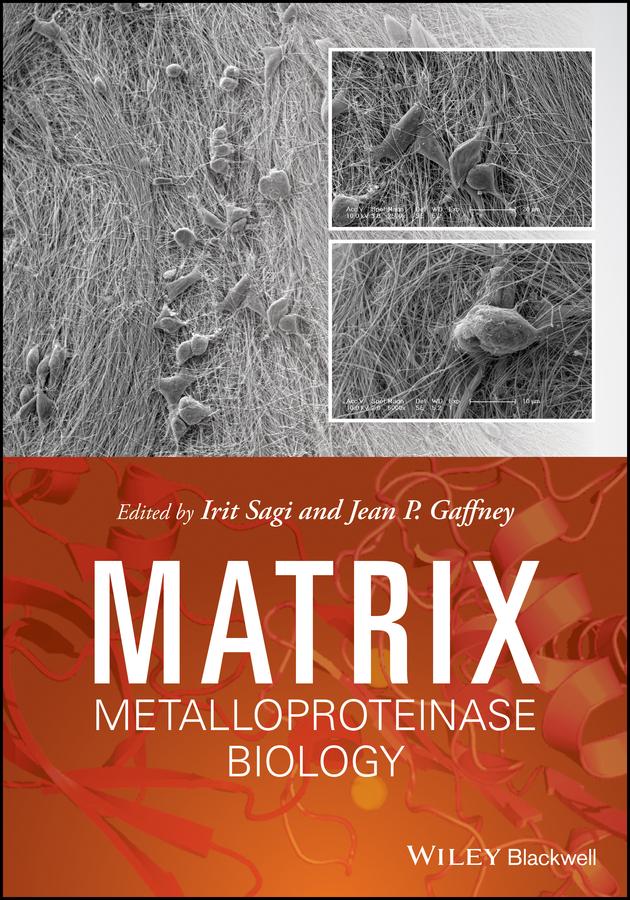Matrix Metalloproteinase Biology by Irit Sagi, Jean Gaffney