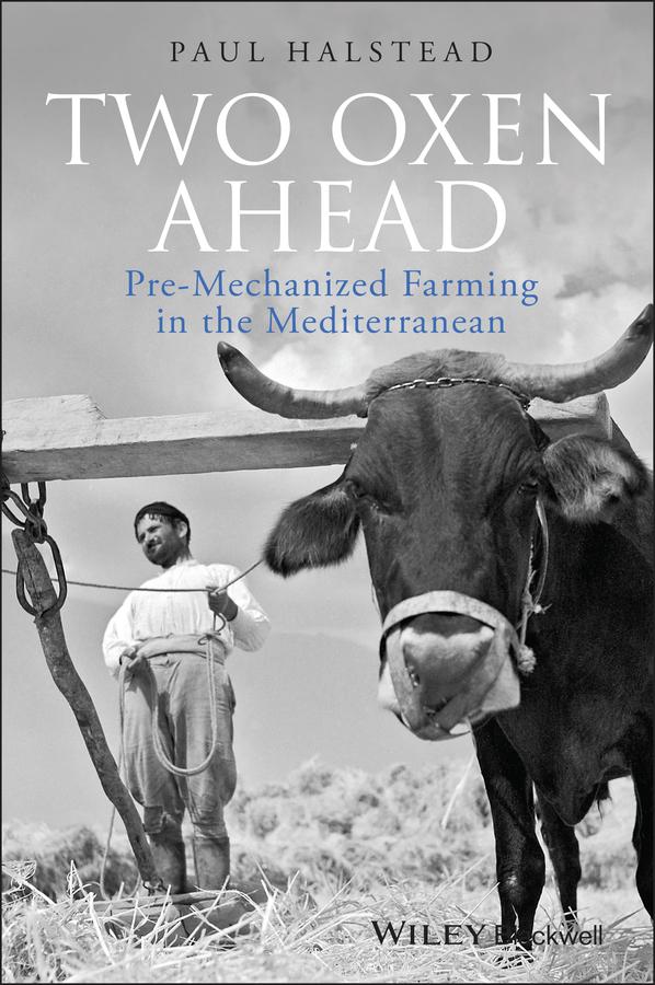 Two Oxen Ahead by Paul Halstead