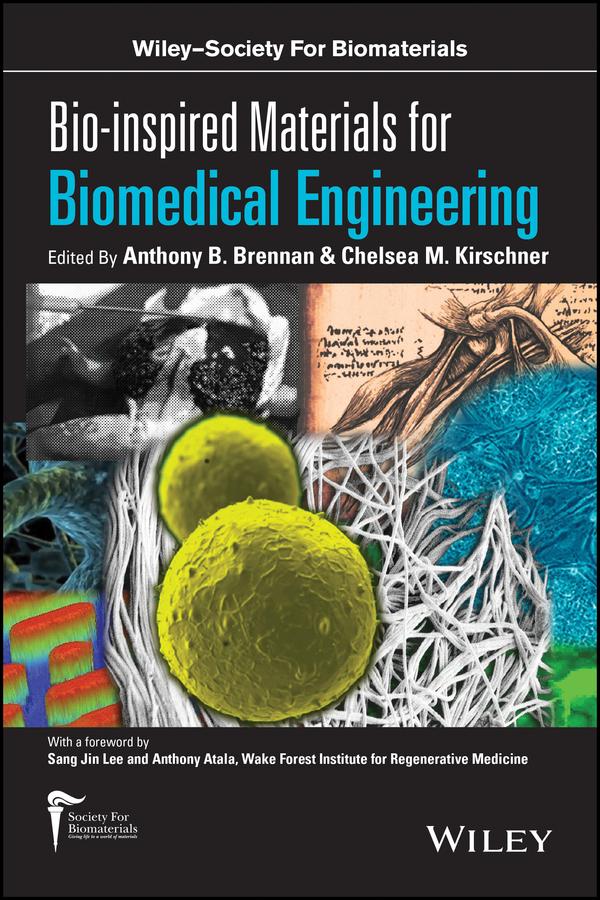 Bio-inspired Materials for Biomedical Engineering by Anthony B. Brennan, Chelsea M. Kirschner