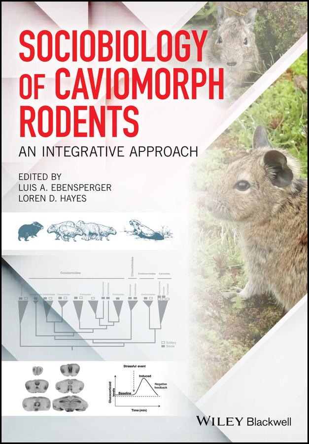 Sociobiology of Caviomorph Rodents by Loren D. Hayes, Luis A. Ebensperger