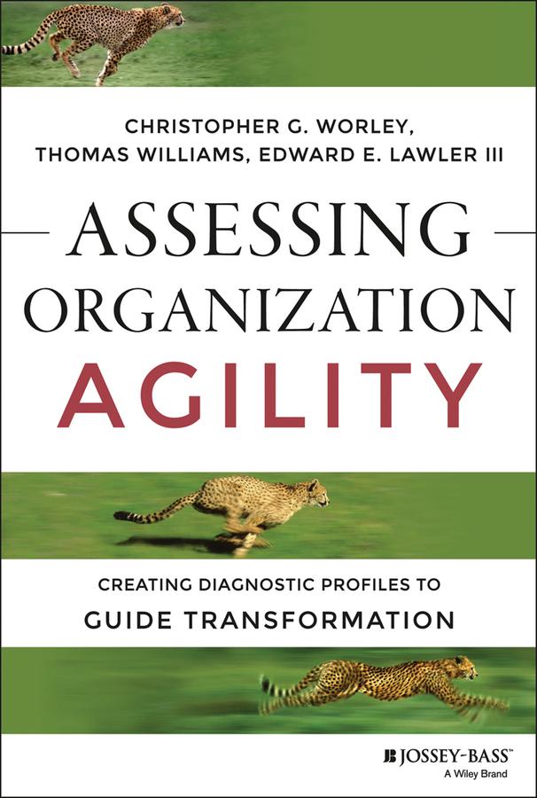 Assessing Organization Agility