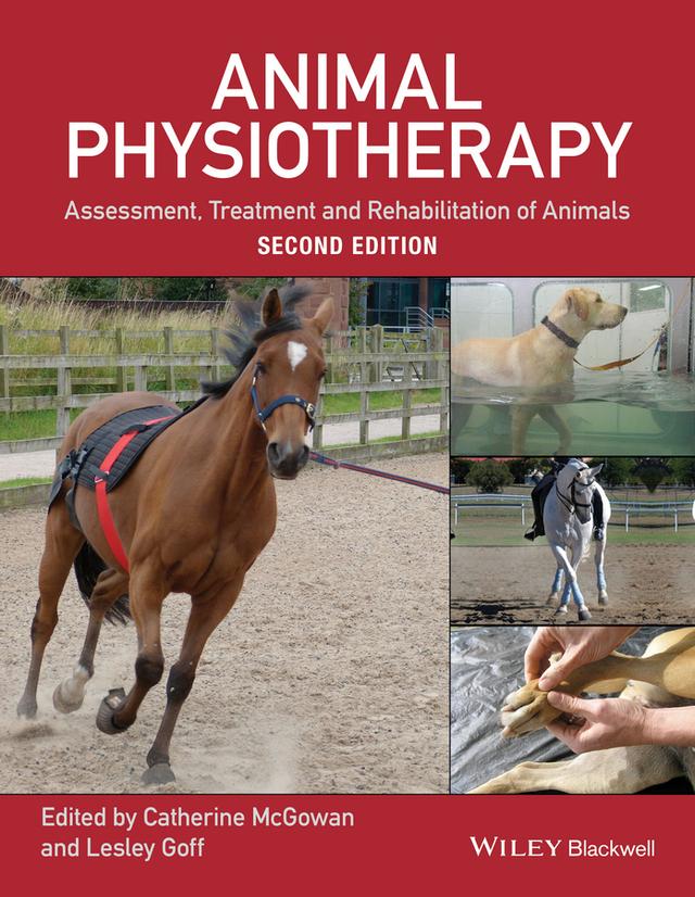 Animal Physiotherapy by Catherine McGowan, Lesley Goff