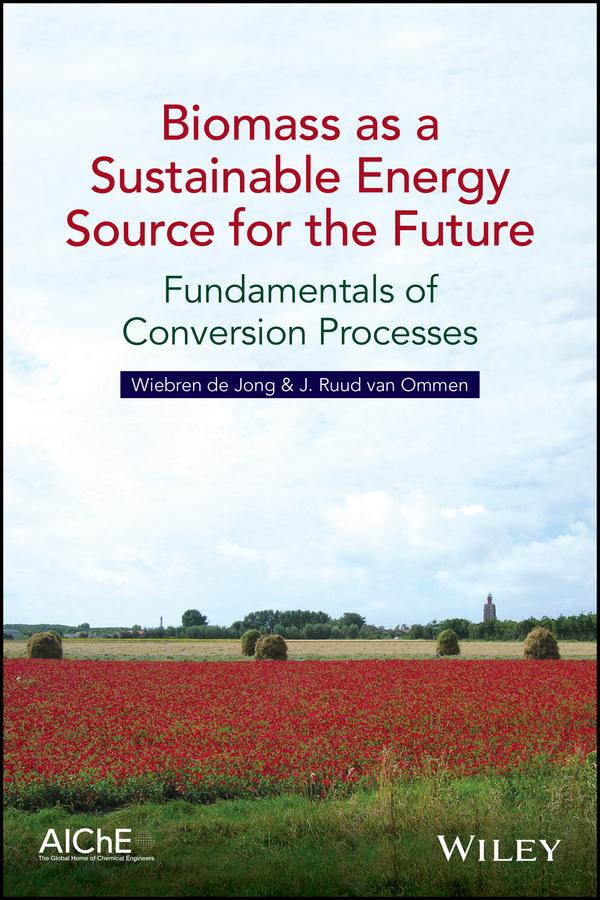 Biomass as a Sustainable Energy Source for the Future