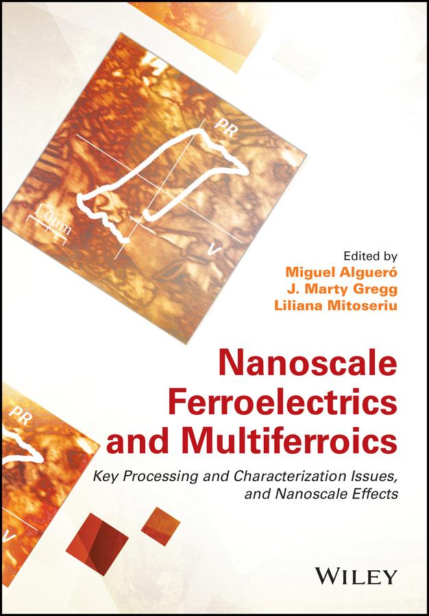 Nanoscale Ferroelectrics and Multiferroics by J. Marty Gregg, Liliana Mitoseriu, Miguel Alguero