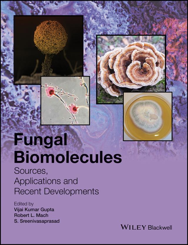 Fungal Biomolecules by Robert L. Mach, S. Sreenivasaprasad, Vijai Kumar Gupta