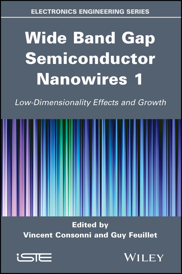 Wide Band Gap Semiconductor Nanowires 1 by Guy Feuillet, Robert Baptist, Vincent Consonni