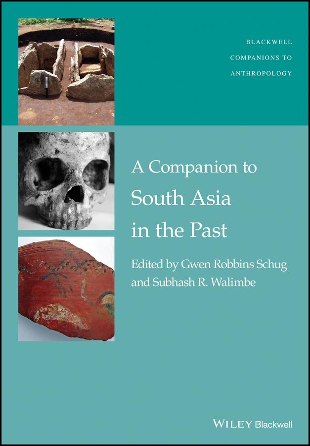 A Companion to South Asia in the Past by Gwen Robbins Schug, Subhash R. Walimbe