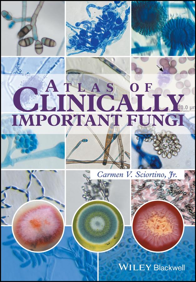 Atlas of Clinically Important Fungi by Carmen V. Sciortino, Jr.