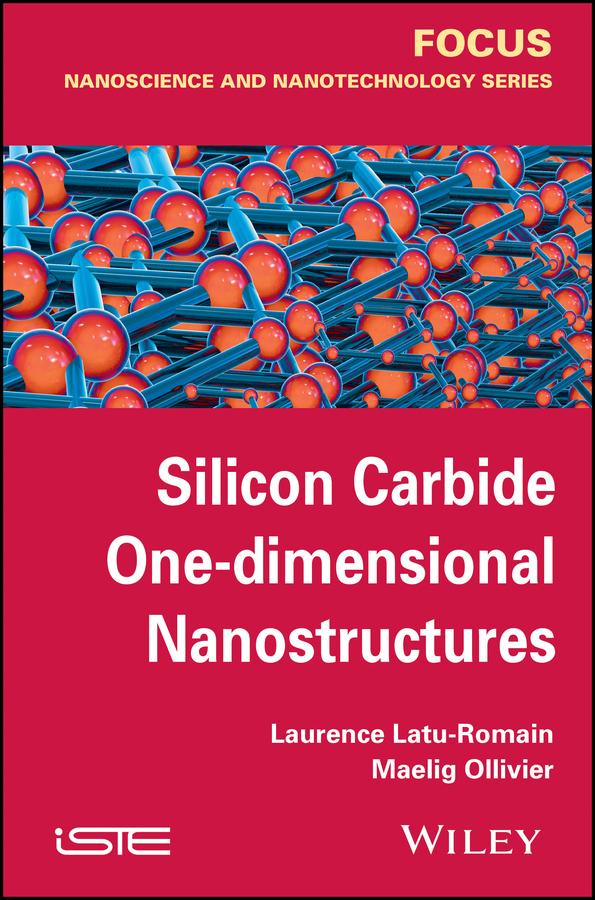 Silicon Carbide One-dimensional Nanostructures by Laurence Latu-Romain, Maelig Ollivier