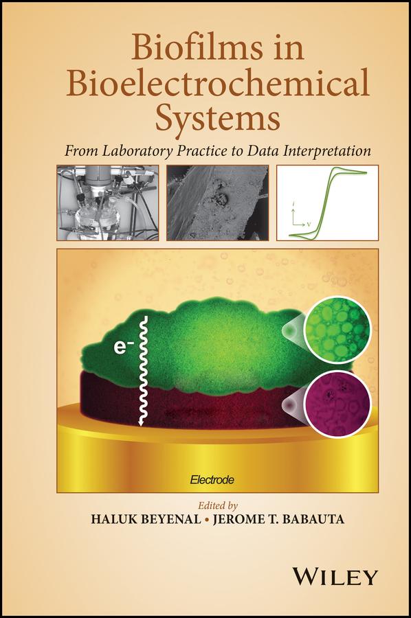 Biofilms in Bioelectrochemical Systems by Haluk Beyenal, Jerome T. Babauta