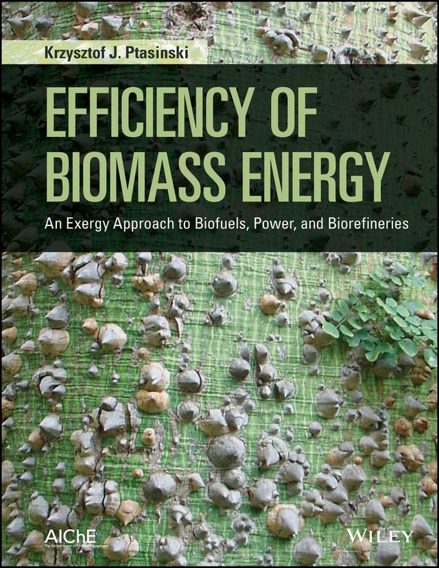 Efficiency of Biomass Energy by Krzysztof J. Ptasinski