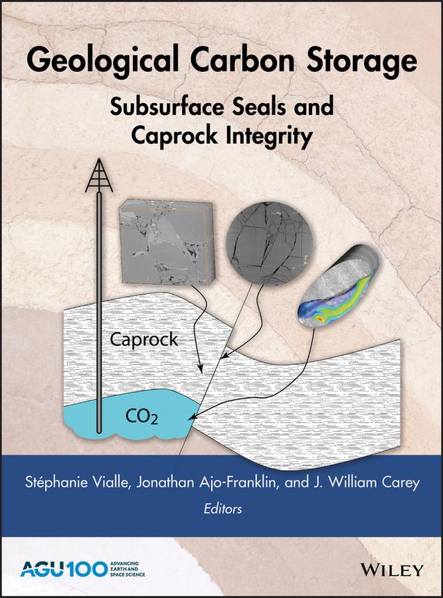 Geological Carbon Storage by Jonathan Ajo-Franklin, J. William Carey, Stéphanie Vialle
